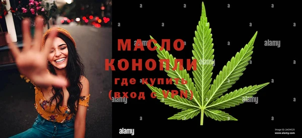 гашик Горняк