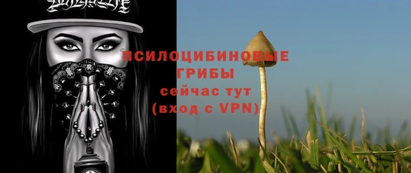 spice Вяземский