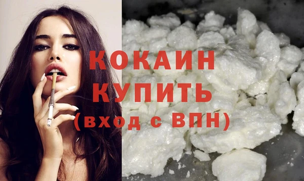гашик Горняк