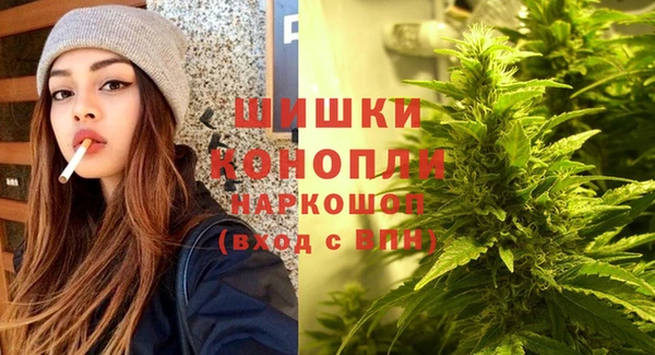соль ск Горно-Алтайск