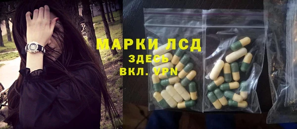 spice Вяземский