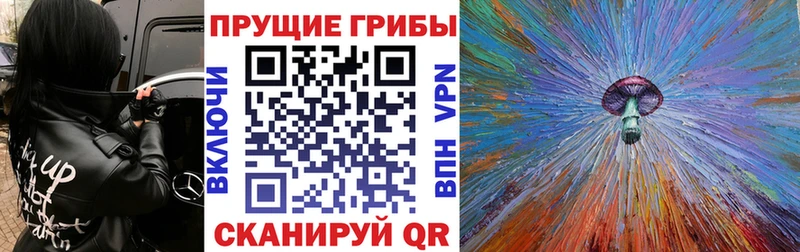 Псилоцибиновые грибы прущие грибы  mega зеркало  Ялта 